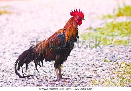 Big Jim onlyfans porn