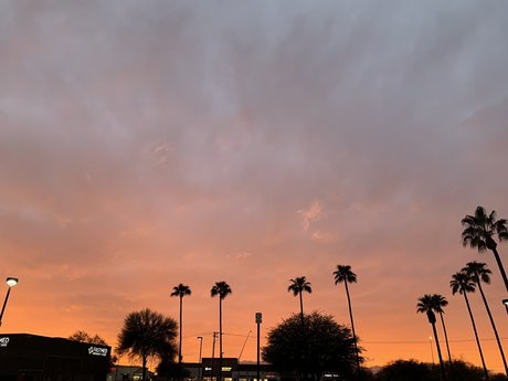 NZArector leak only fans