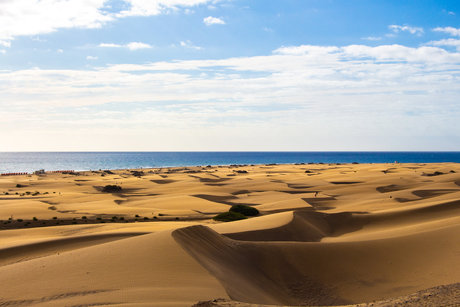 Dutchmguy87 nudes leaked onlyfans