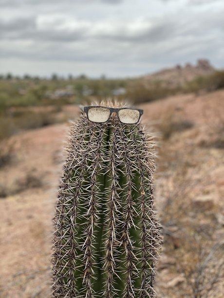 Only D onlyfans photos