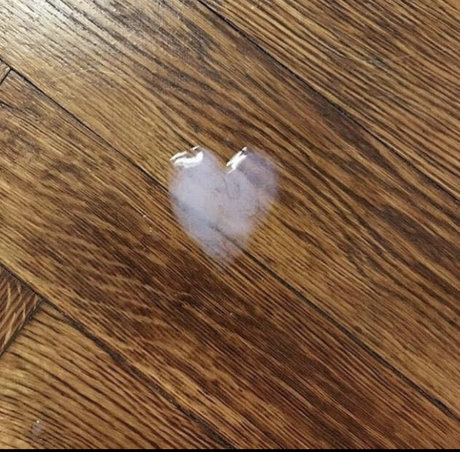 Bad Bear Cub Club onlyfans leak