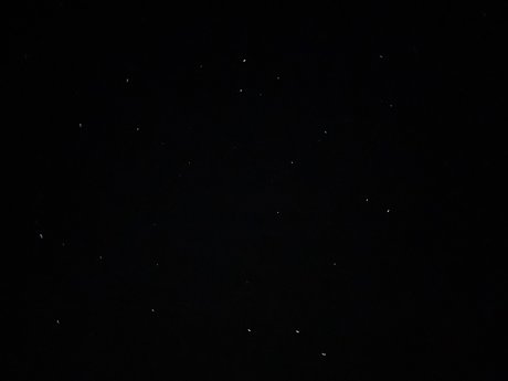 Laila Rose onlyfans leaks