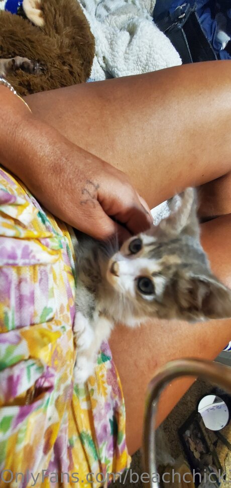 Beach Chick 321 only fans leak nude