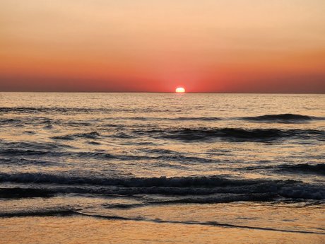 Mike Purley onlyfans leak sex