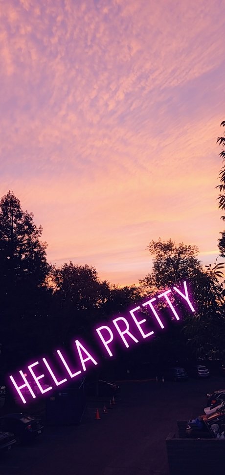 Bikini Bambi onlyfans nude tits