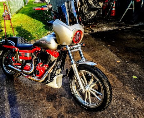 DV D leaked only fans