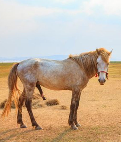 BigDickDaddy901 onlyfans de