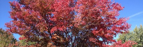 Taylor O Brian onlyfans strip tease