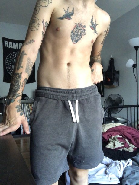 altoid onlyfans leajs