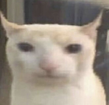 Midwestkid937 onlyfans explicit content