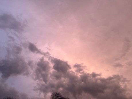 CompetitiveT_ onlyfans boobs