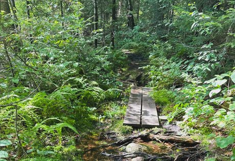 mickey_ onlyfans leaj