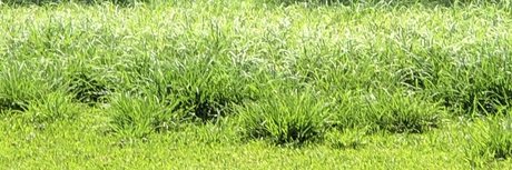 Bigwill onlyfans joi