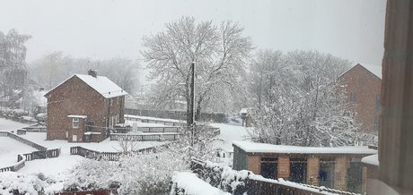 Minimoose onlyfans lesk