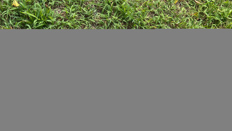 Mina Fimmel onlyfans leaj