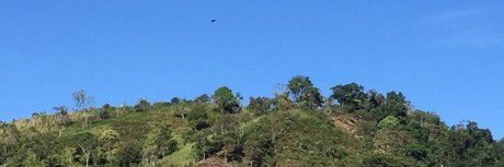 Milton Ramos leaked onlyfans sex