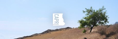 Capri porn onlyfans leak