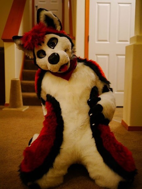 Cenny After Bark_ onlyfans nsfw