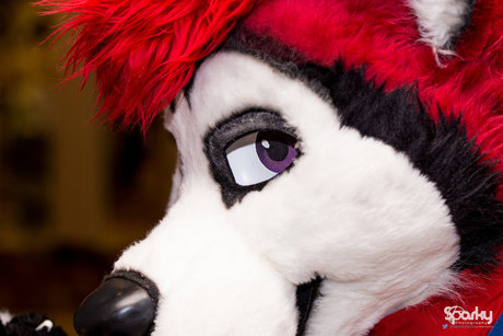 Cenny After Bark_ onlyfans leajs