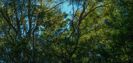 Chance Photography onlyfans ass