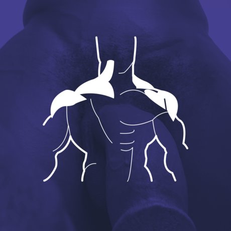 Andres Henri onlyfans leaked pictures