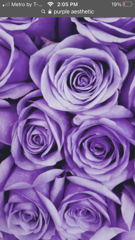 Miley World onlyfans leaked pictures