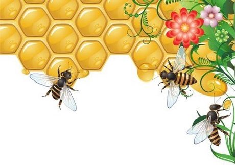 Anastasia Diavian onlyfans.