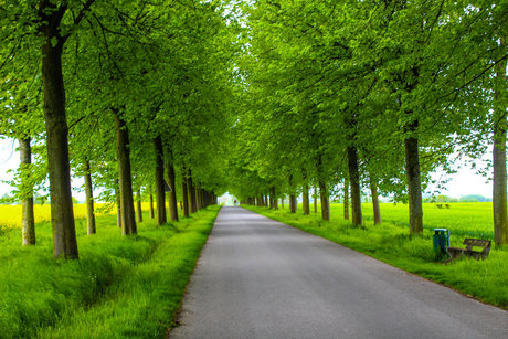 LuisasFantasyJourney free only fans