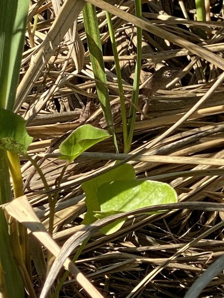 Jordan Lake only fans pictures