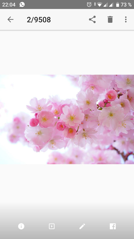 Miss Appleeee onlyfans nude