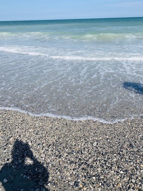 Phat Ass White Girl onlyfans leak nudes