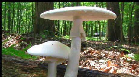 Miss Maggie Flower_ ass onlyfans