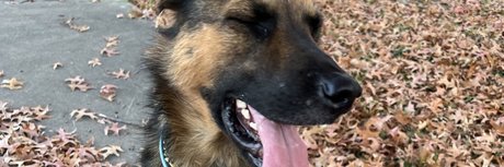 aerie_ sexy onlyfans