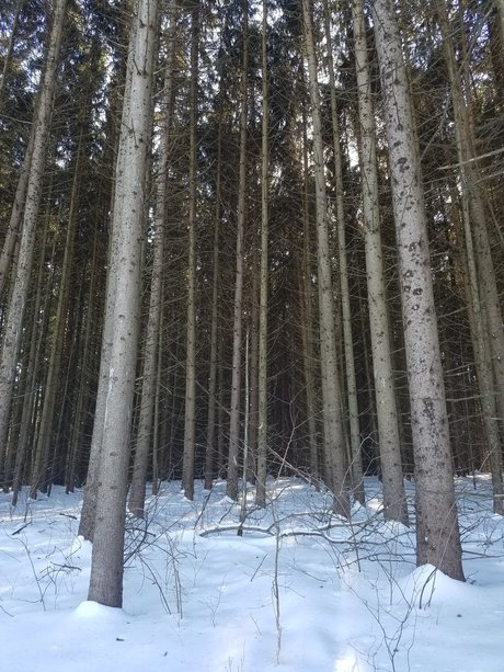 Jason Slate onlyfans porn nude