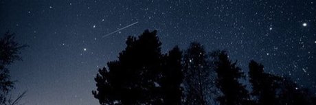 libre onlyfans model photo