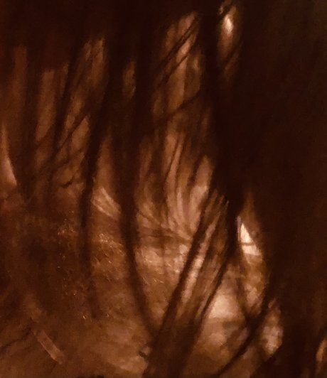 HiddenBrooke_ only fans