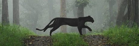 The Neighbor onlyfans leak