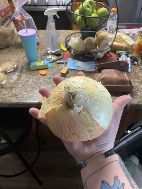 Dontask donttell onlyfans full