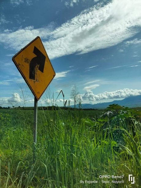 Java face ass onlyfans