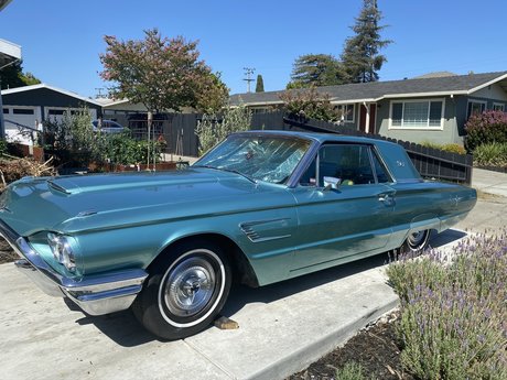 Hung TS Lora XXX onlyfans strip