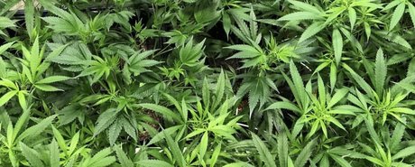 Kara Mel_ onlyfans leaked tits