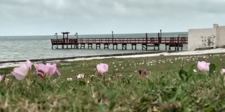 Mistwolfs onlyfans leaked.