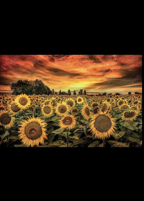 Brittany Snow free onlyfans