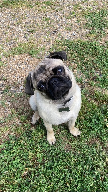 hisreverie onlyfans leak