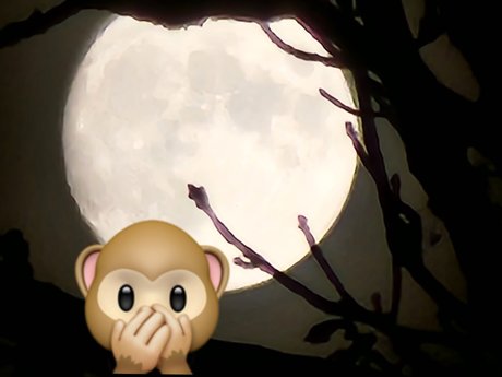 Monkey_ onlyfans xxx