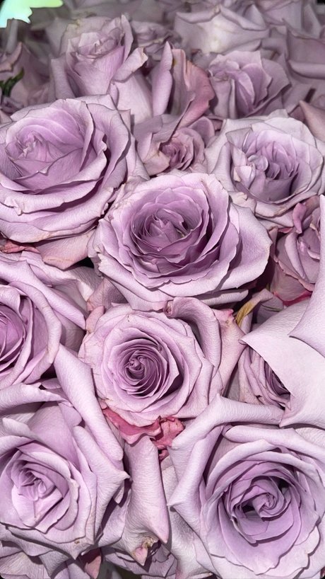 Momdashian onlyfans leaked tits