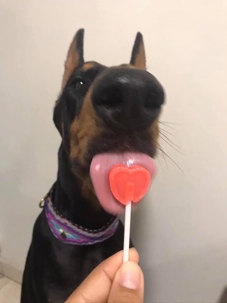 john alissa leaked onlyfans pictures