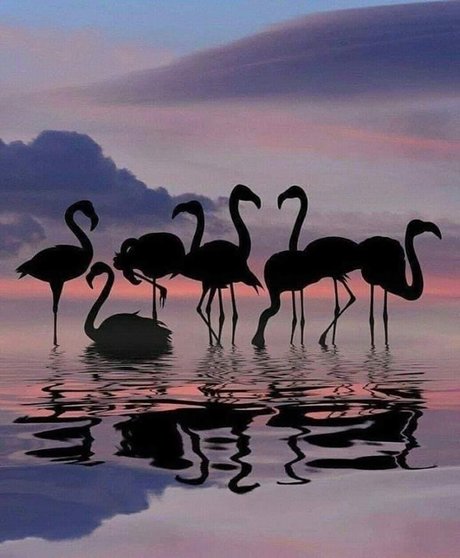 Chrissy G onlyfans archive