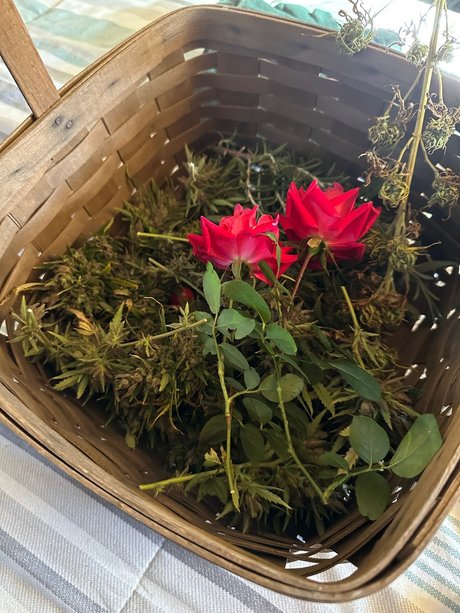 Zander Rae boobs onlyfans