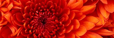 JennaLee nudes onlyfans leaks